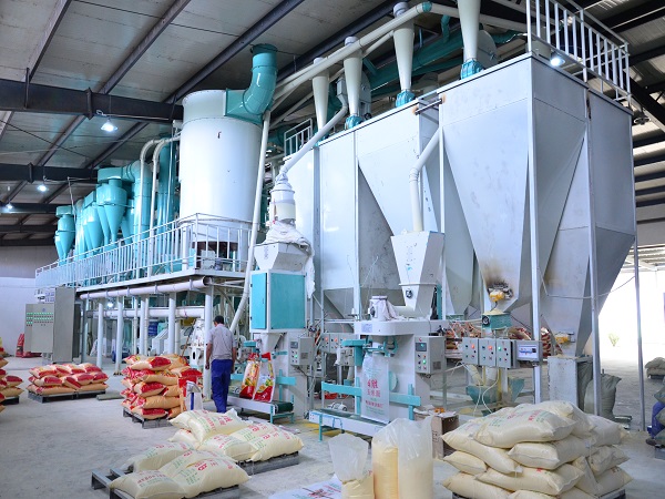 智能玉米糁加工设备具有诸多优势 是玉米糁加工企业必备的生产设备